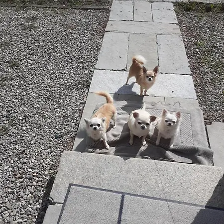 Frühstückspension 