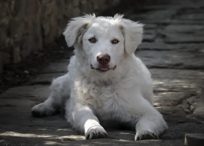 Borgo Gerbina Agriturismo&azienda Agricola 3*