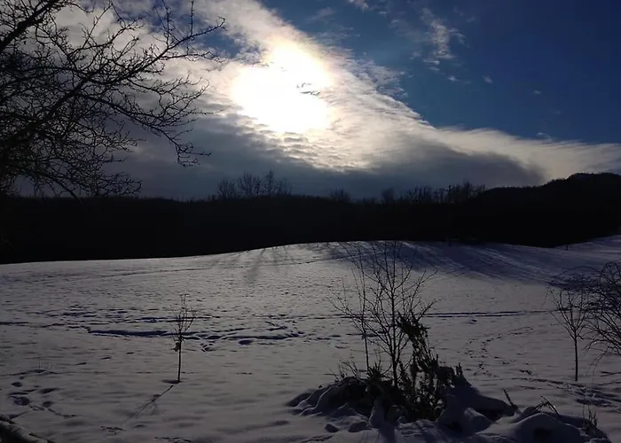 Borgo Gerbina Agriturismo&azienda Agricola Bed & Breakfast