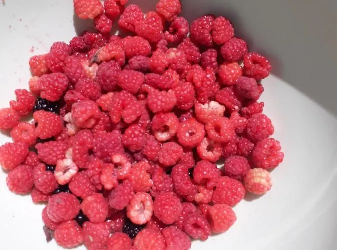 Borgo Gerbina Agriturismo&azienda Agricola Sozzi