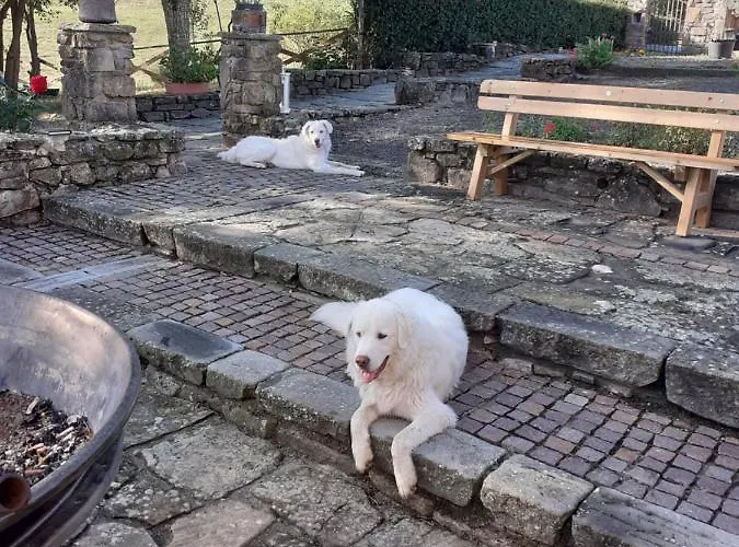 Borgo Gerbina Agriturismo&azienda Agricola 3* Sozzi